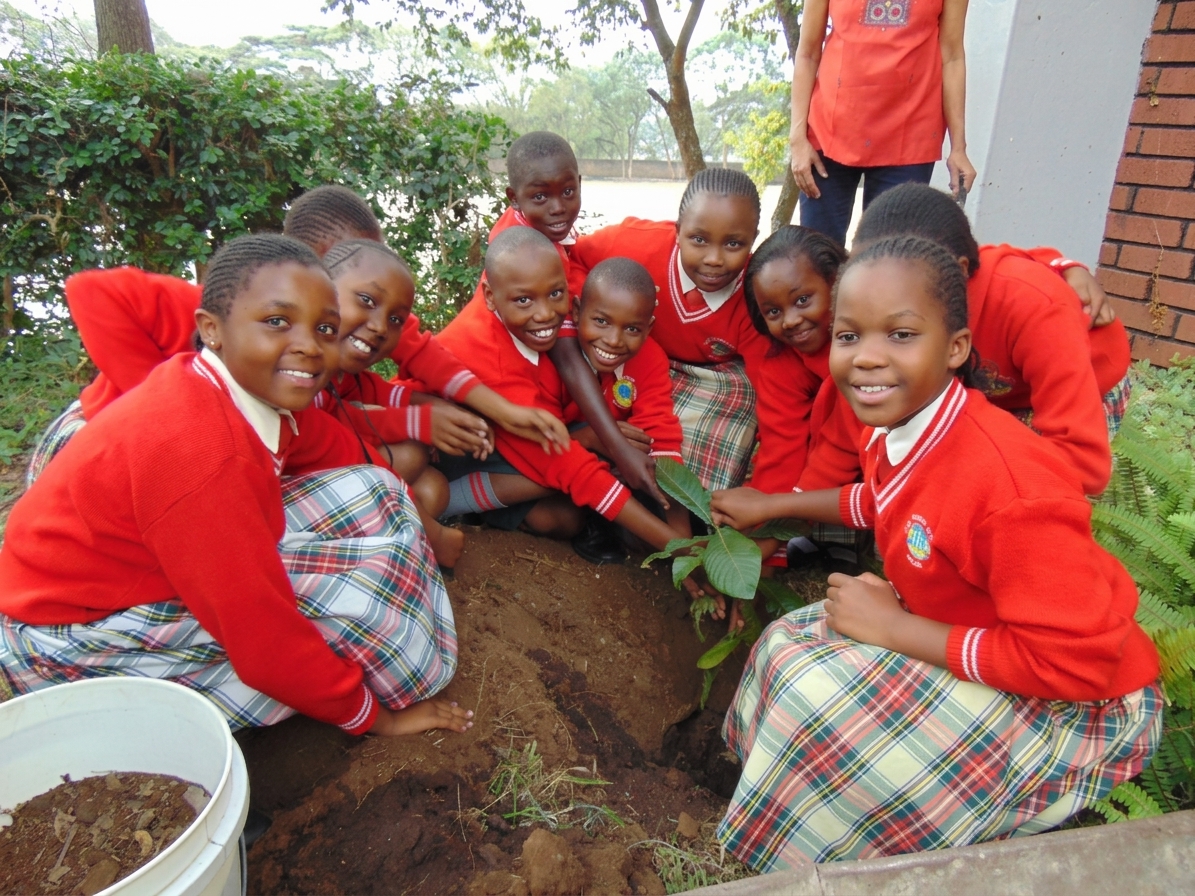 Tree Planting